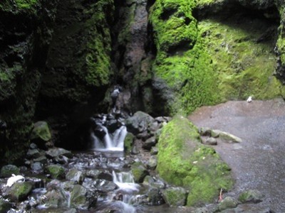 Lì dove muoiono i&nbsp;gabbiani