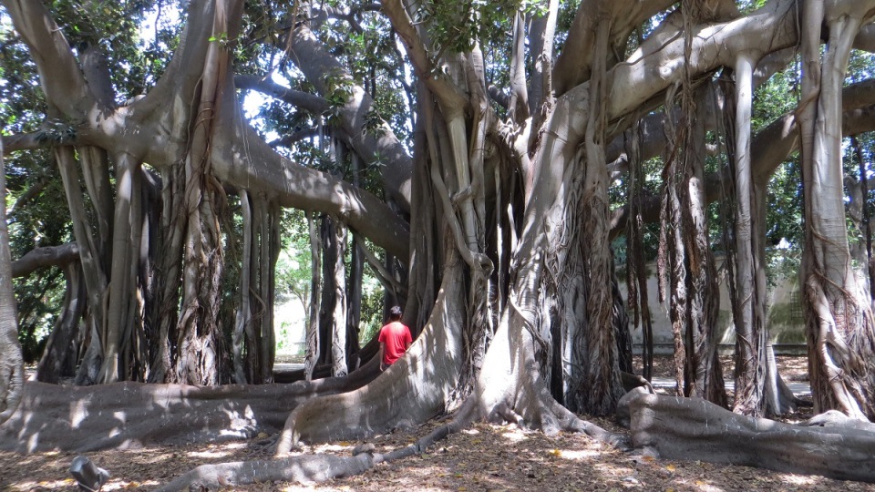 La bugia non è una scienza&nbsp;esatta