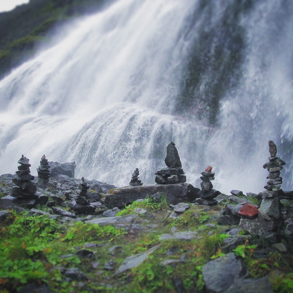 Cosa non fa la natura