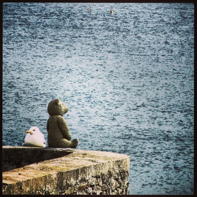 Uno sguardo al nuovo&nbsp;anno