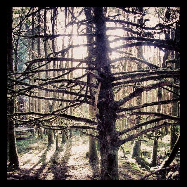 Leggendo tra le&nbsp;righe