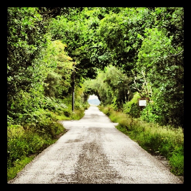 Il buco con la menta&nbsp;intorno