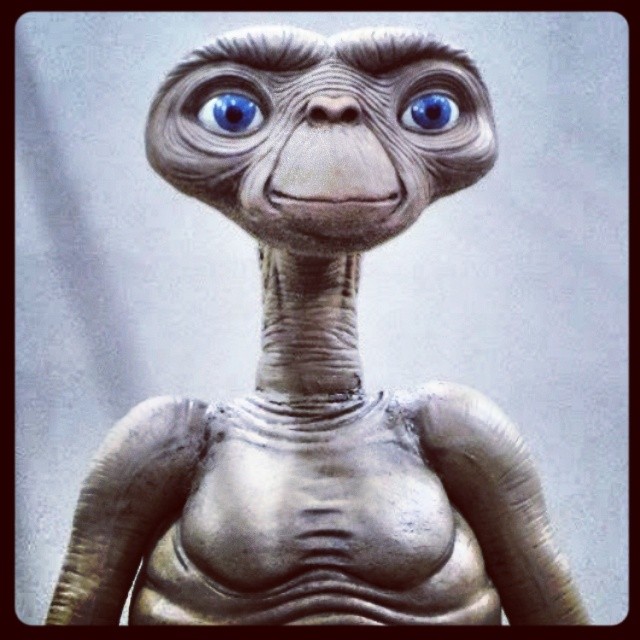 Non risponde nessuno