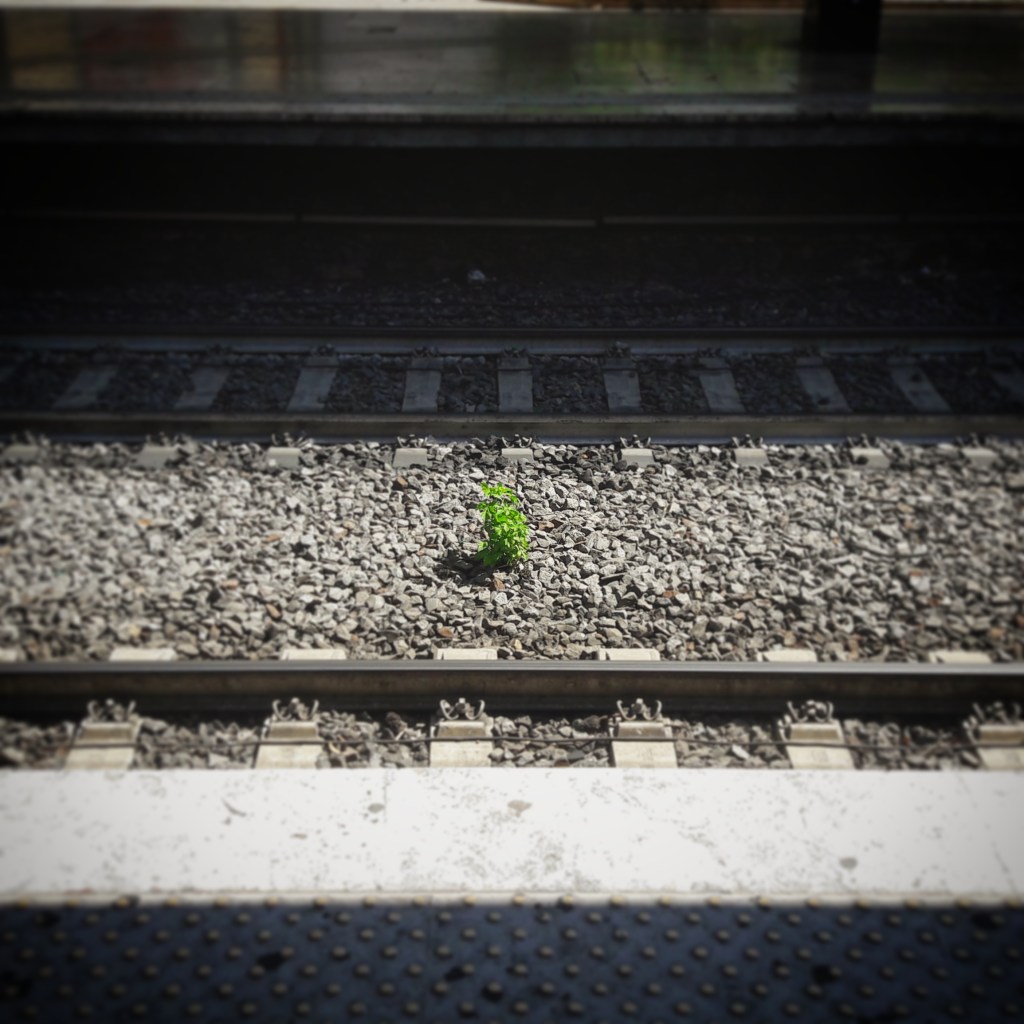 Prove di forza e di bellezza