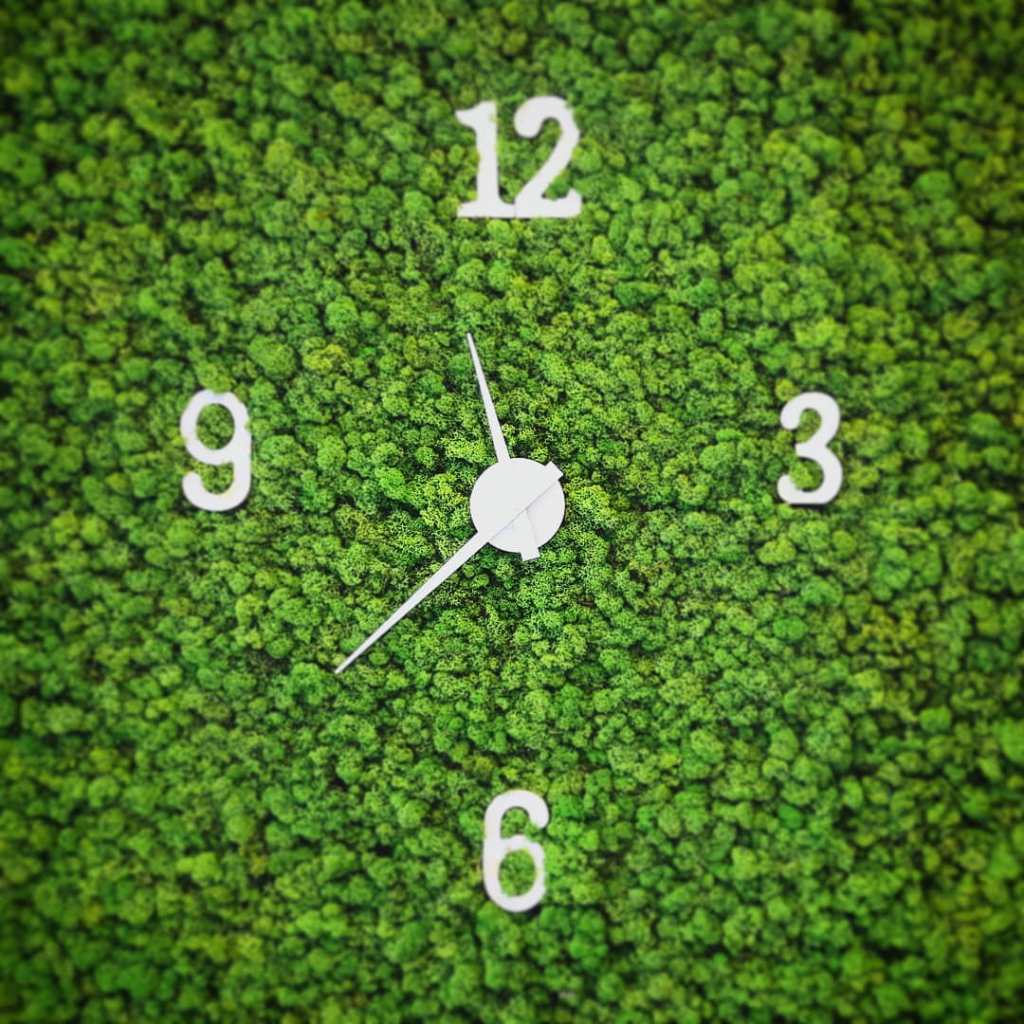 Mi manca il&nbsp;tempo