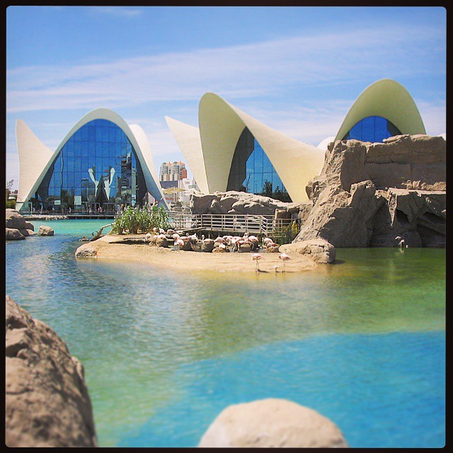 Oceanograficamente