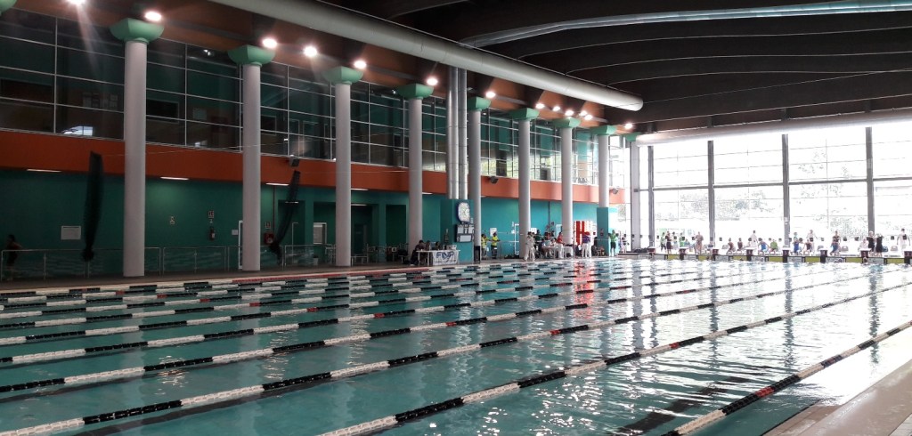 Del nuoto e di altri&nbsp;demoni