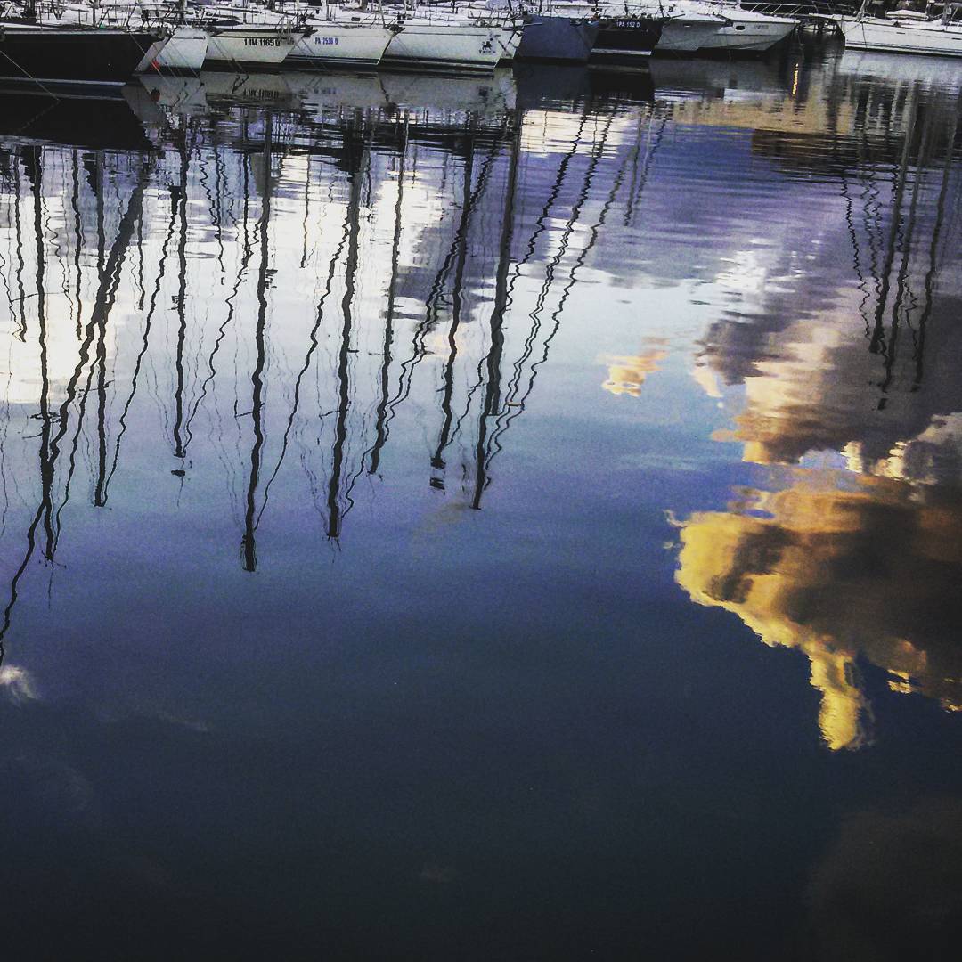 Olio su vela