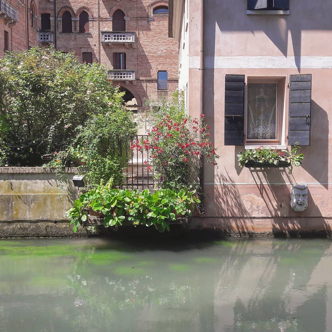 Non cambiate canale
