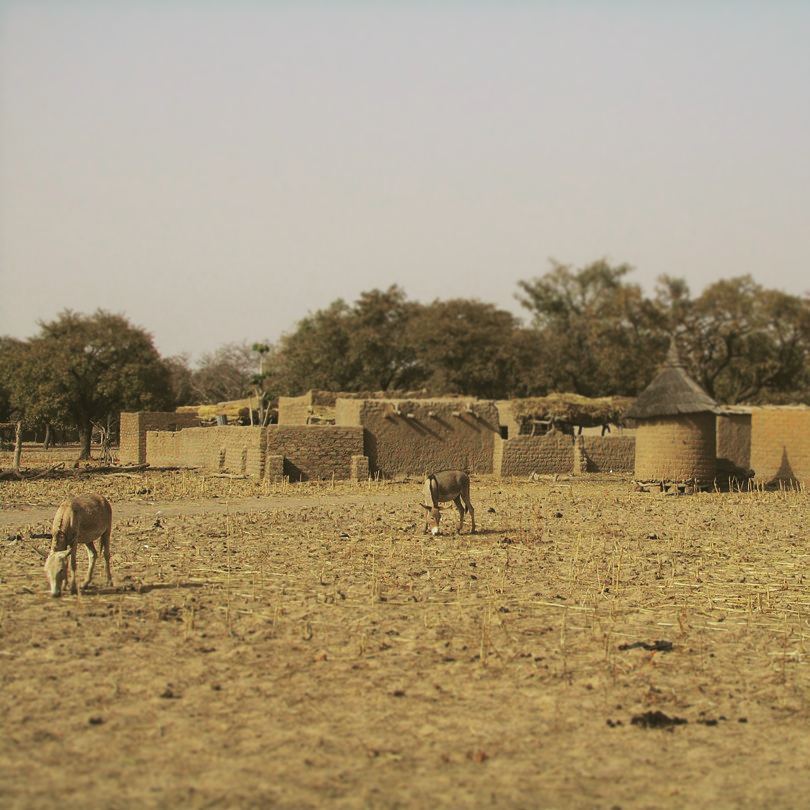 Il mattino ha loro in&nbsp;bocca