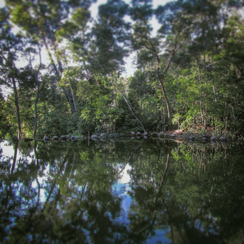 Macchia di Rorschach
