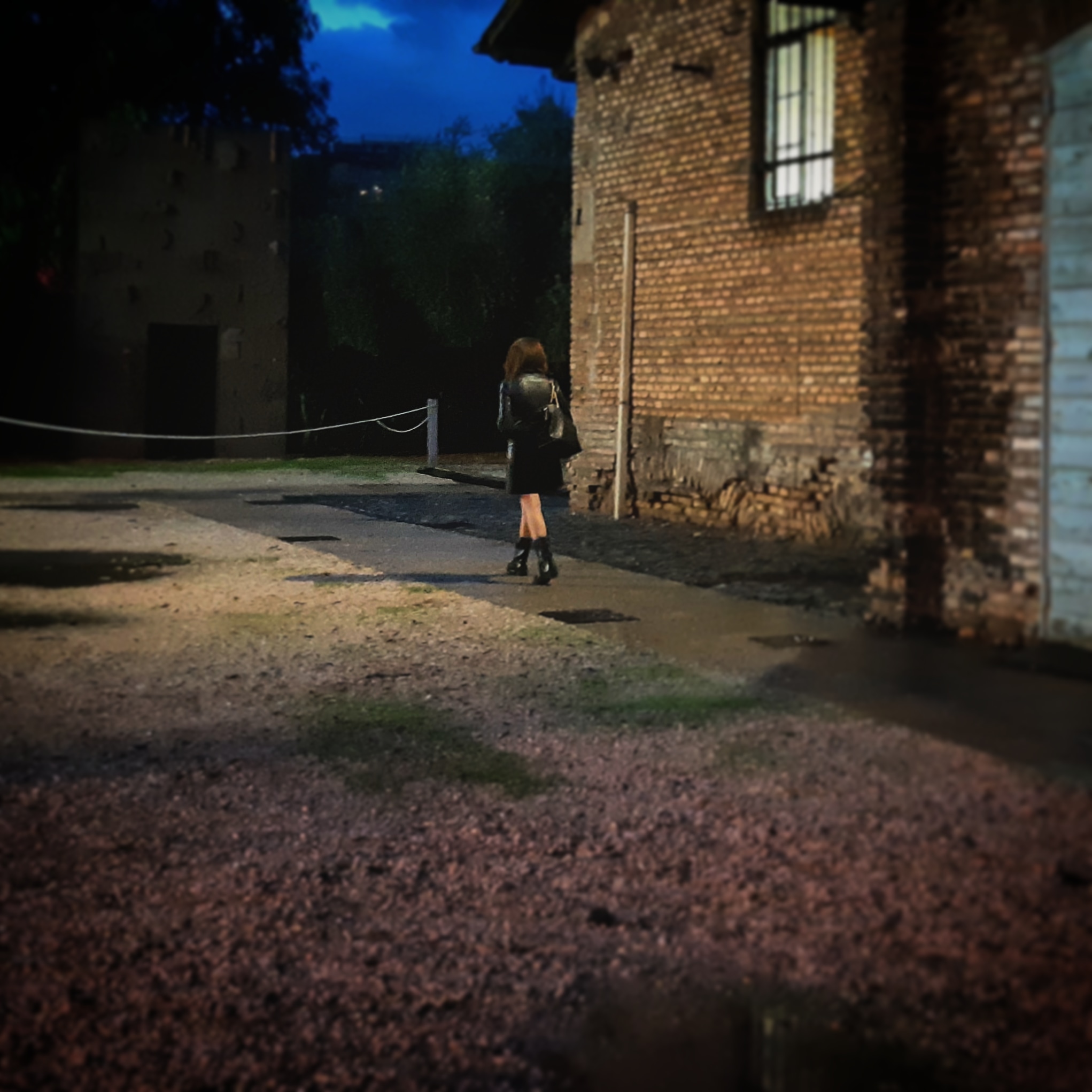 Inseguendo un’ombra