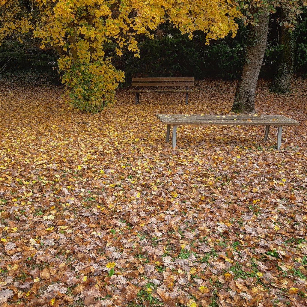Tra estate e&nbsp;inverno