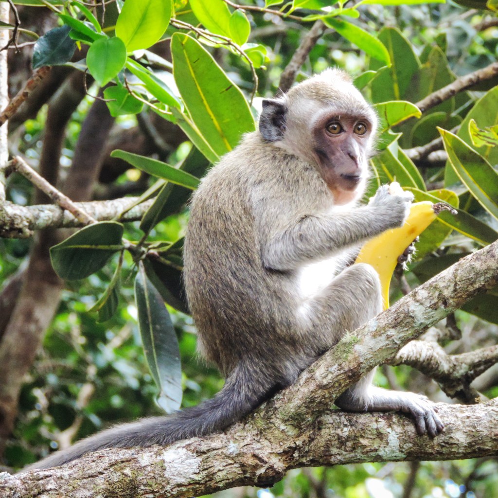 L’arte e i suoi&nbsp;derivati