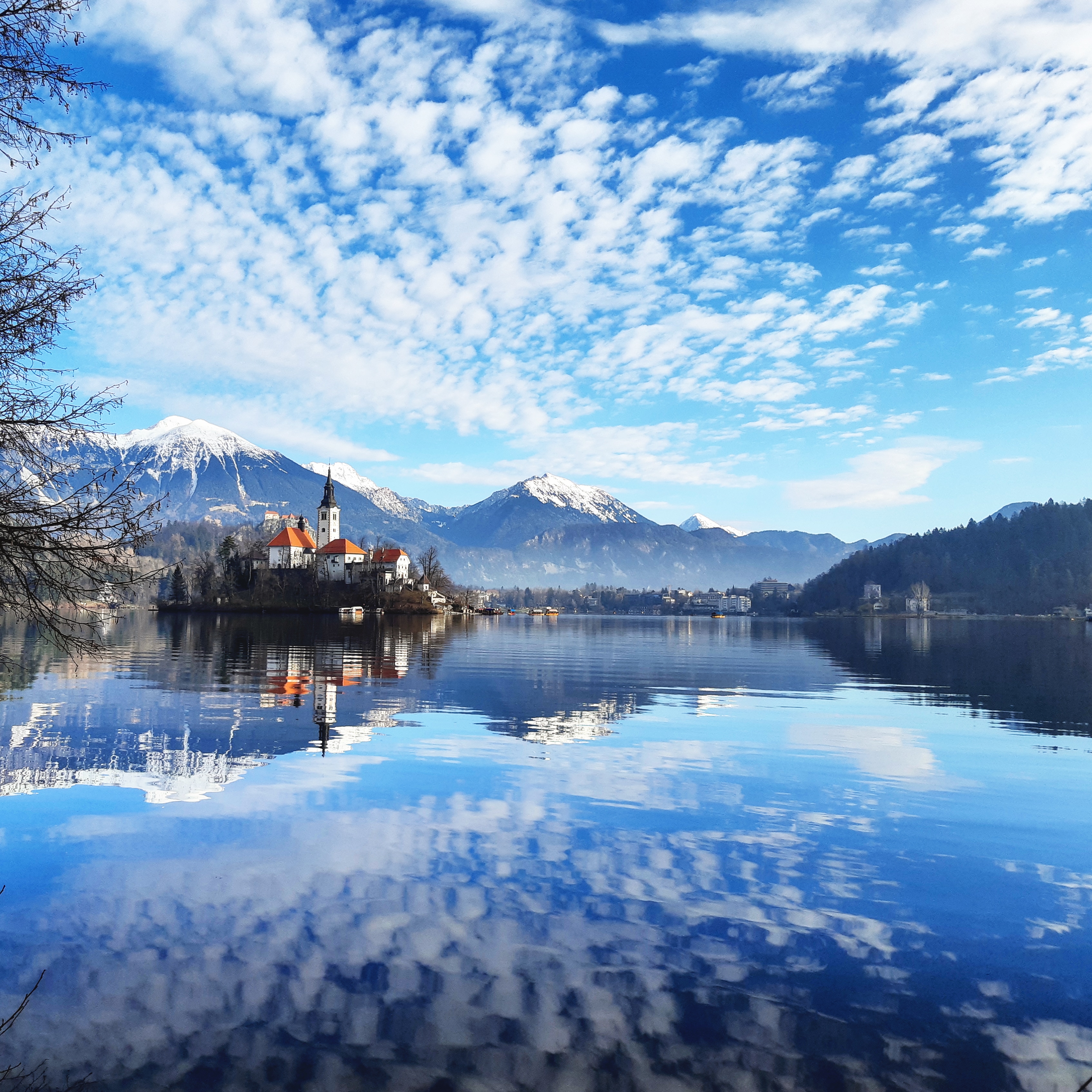 Bled to Bled