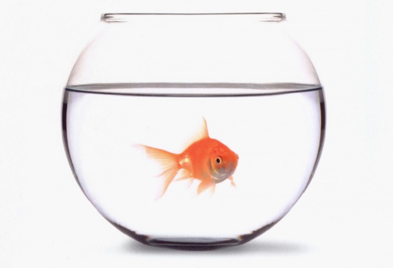 Gli occhi del&nbsp;cuore