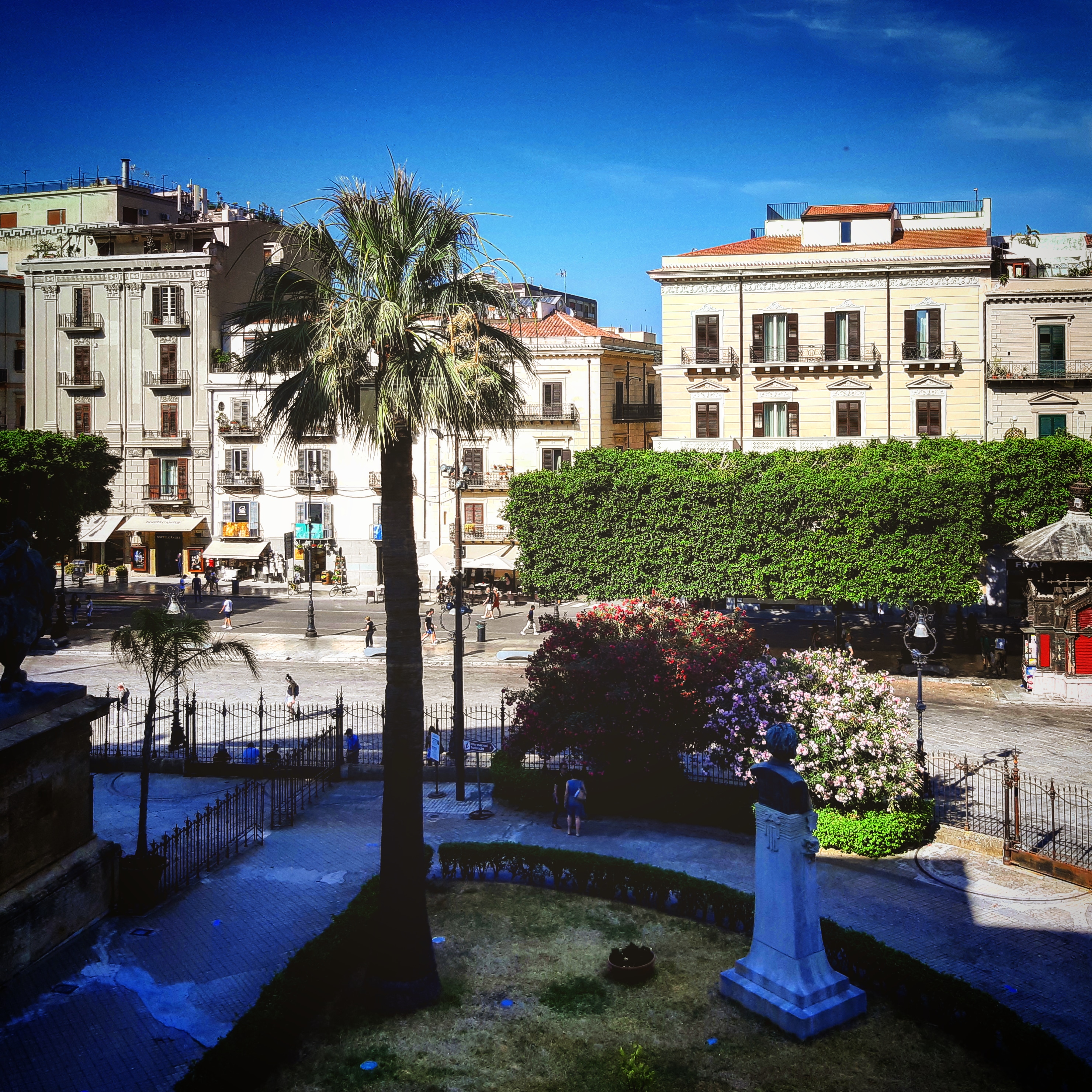 La finestra sul cortile