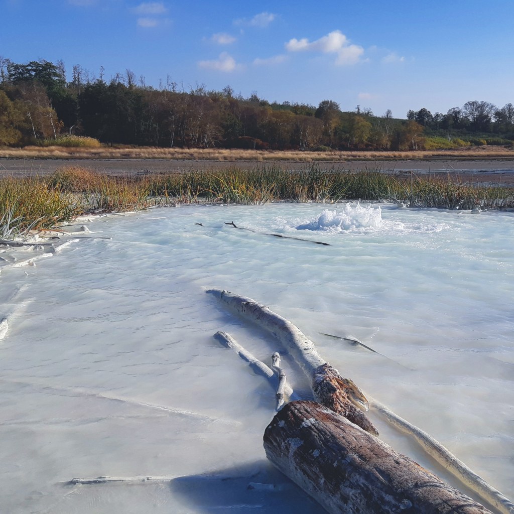 Piccoli geyser crescono