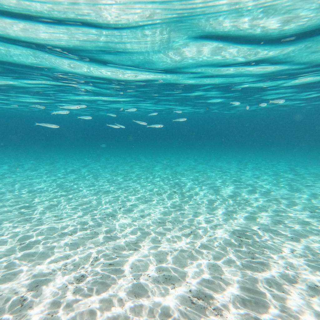 Sotto il segno dei&nbsp;pesci