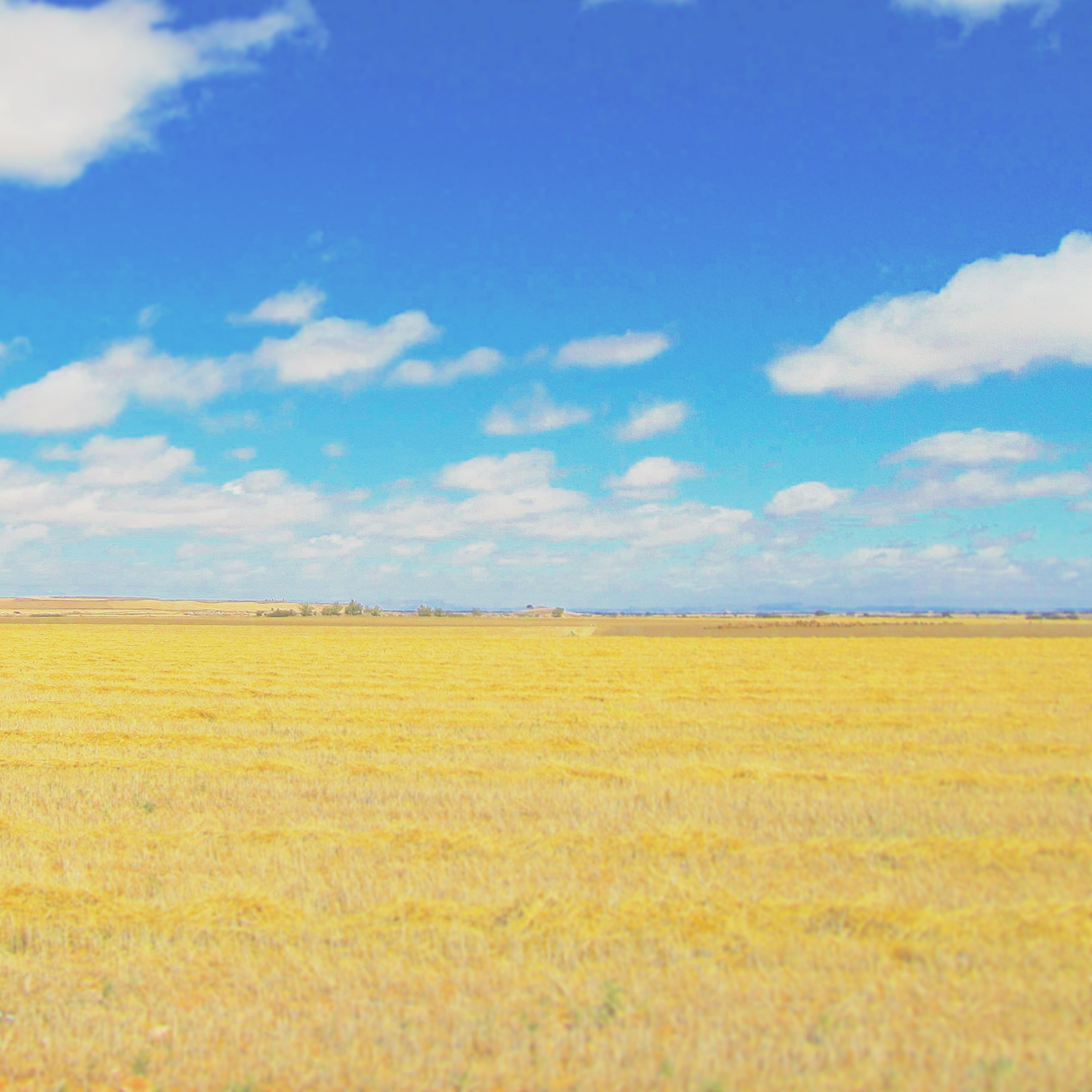 Libera Ucraina