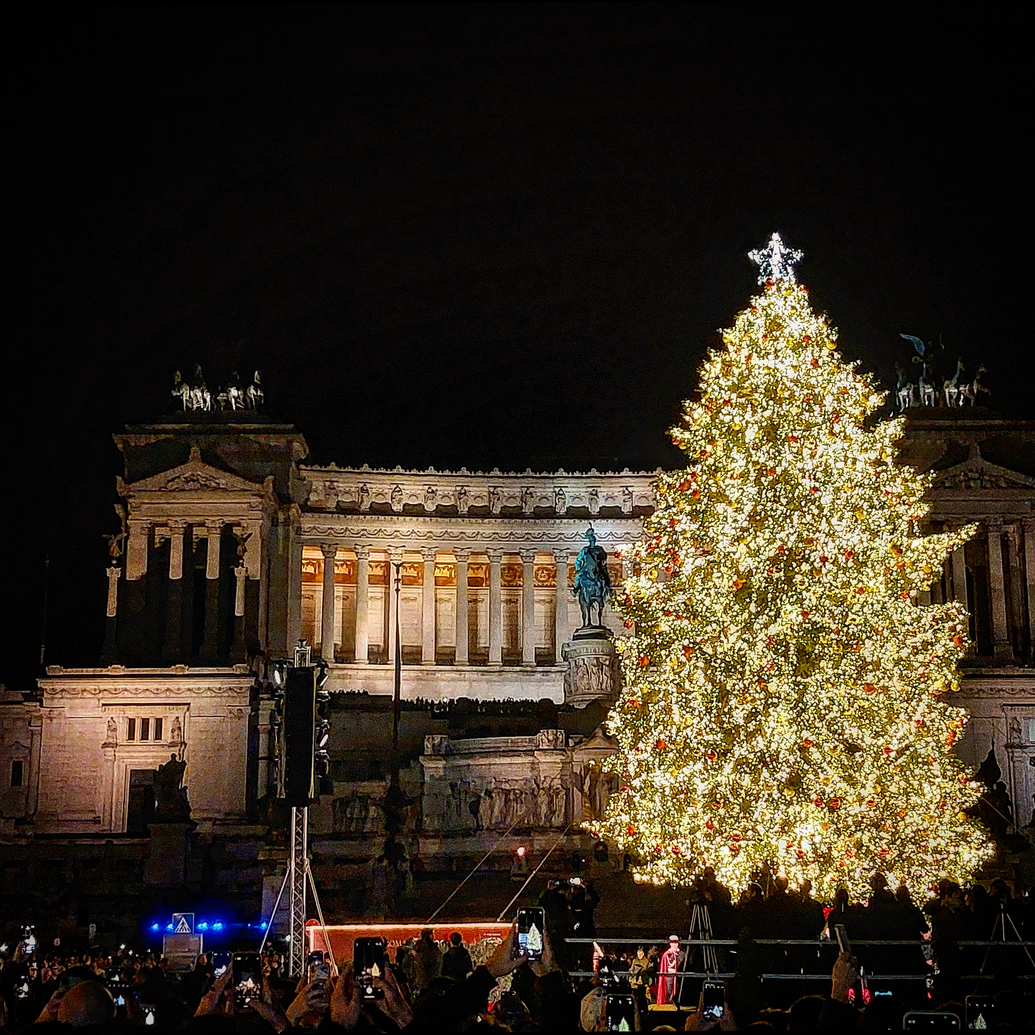 Albero fatto