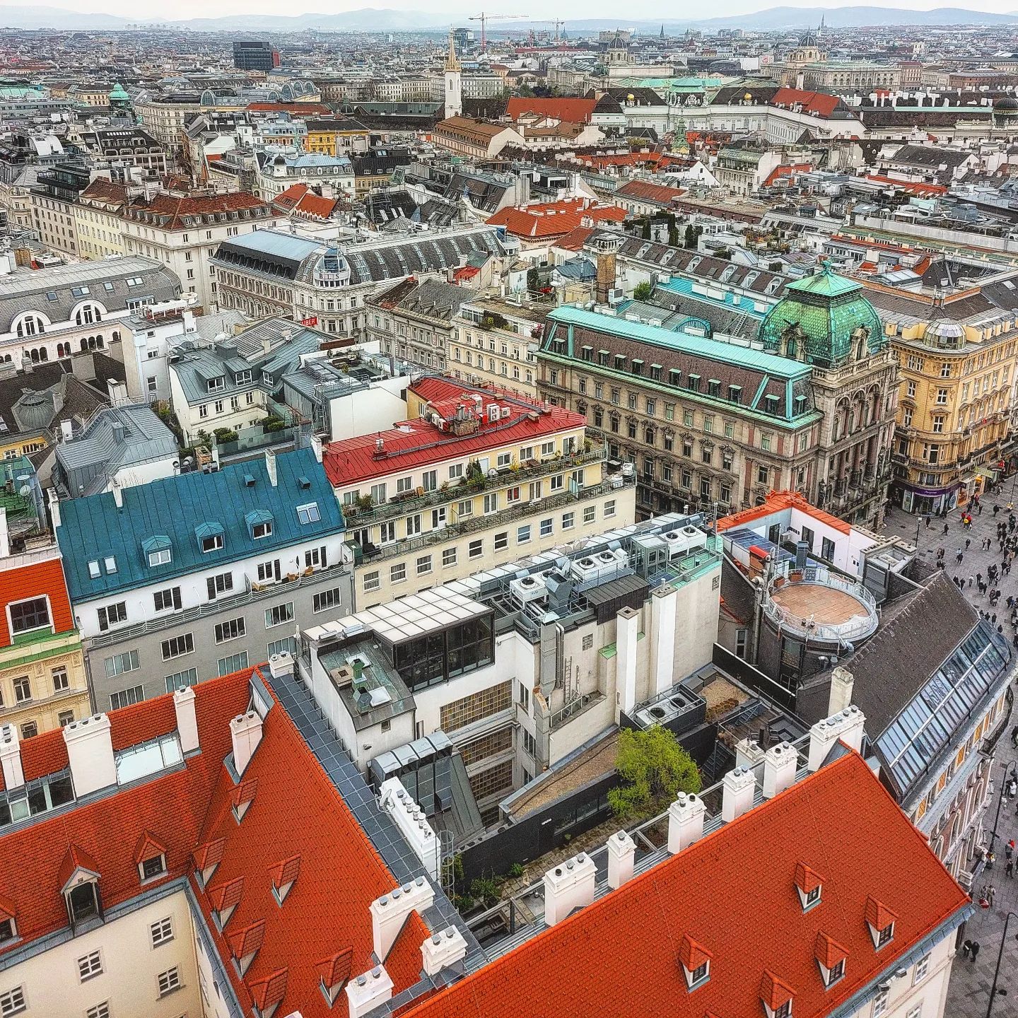 Vienna vidi vici