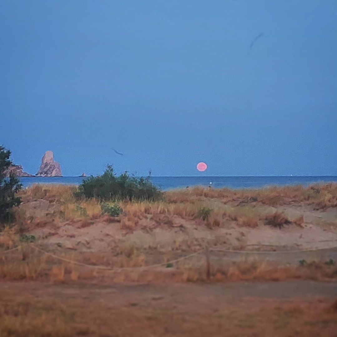 Serata lunatica