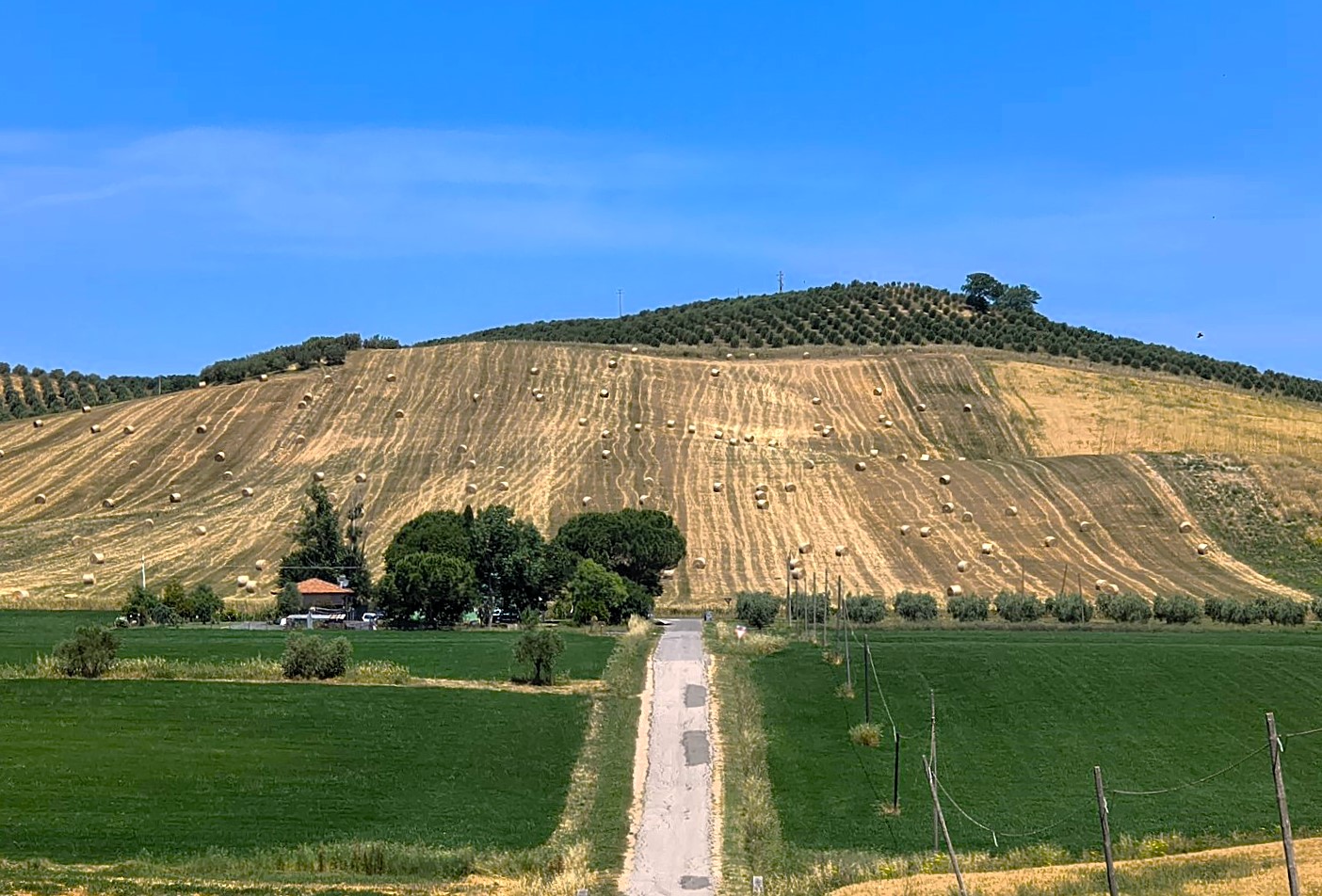 Grosseto e dintorni