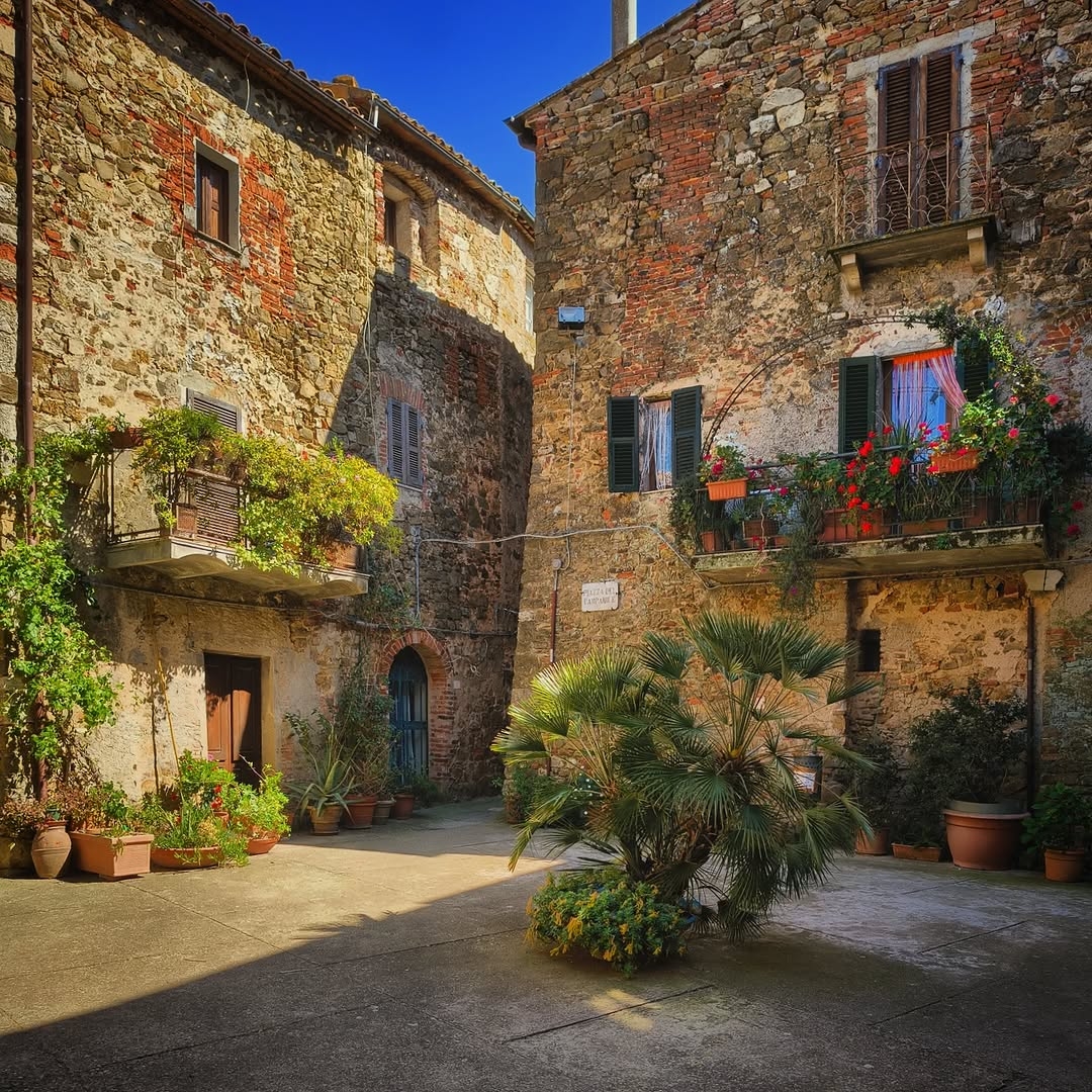 Piante e mattoni