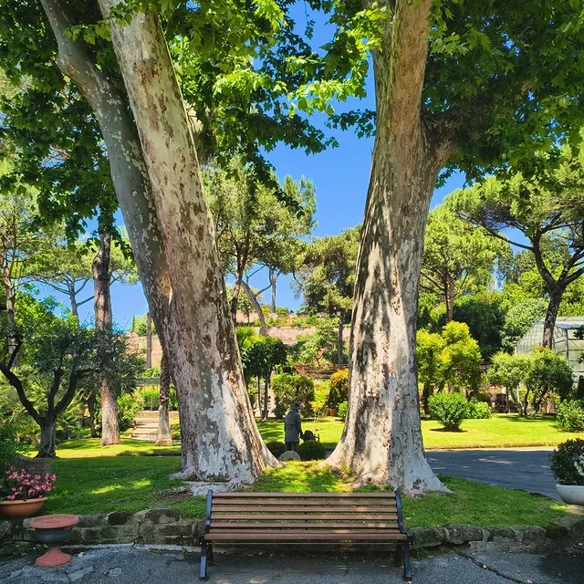 Sopra la panca